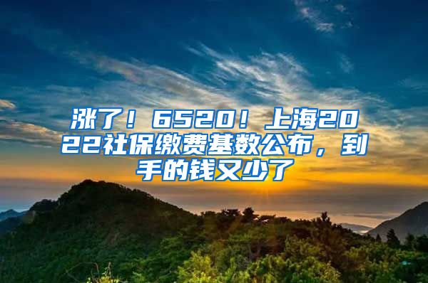 涨了！6520！上海2022社保缴费基数公布，到手的钱又少了