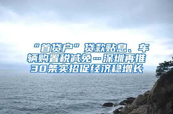 “首贷户”贷款贴息、车辆购置税减免…深圳再推30条实招促经济稳增长