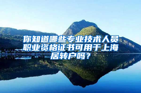 你知道哪些专业技术人员职业资格证书可用于上海居转户吗？