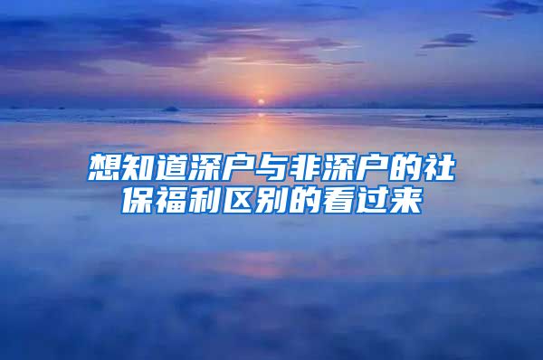 想知道深户与非深户的社保福利区别的看过来