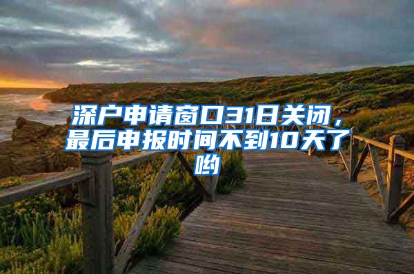 深户申请窗口31日关闭，最后申报时间不到10天了哟