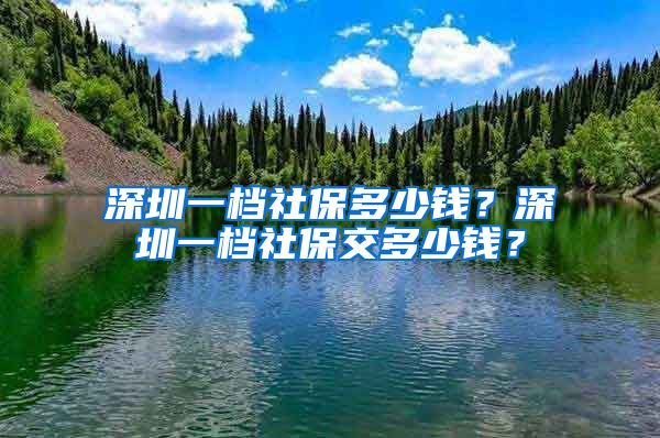 深圳一档社保多少钱？深圳一档社保交多少钱？