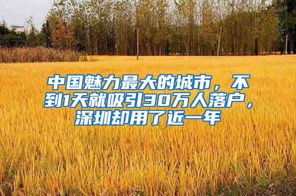 中国魅力最大的城市，不到1天就吸引30万人落户，深圳却用了近一年