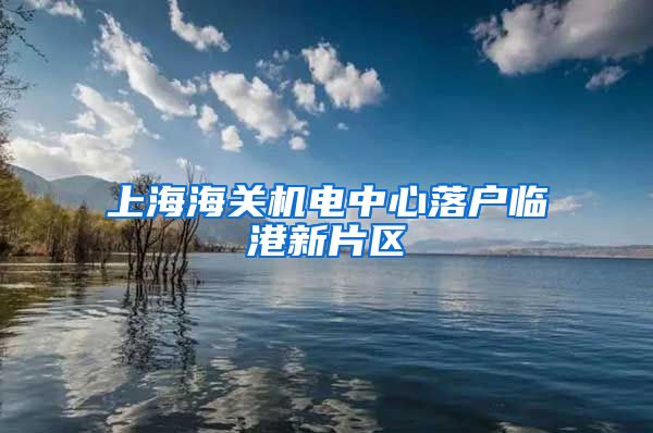 上海海关机电中心落户临港新片区