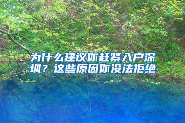 为什么建议你赶紧入户深圳？这些原因你没法拒绝