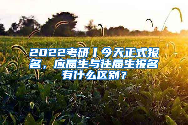 2022考研丨今天正式报名，应届生与往届生报名有什么区别？