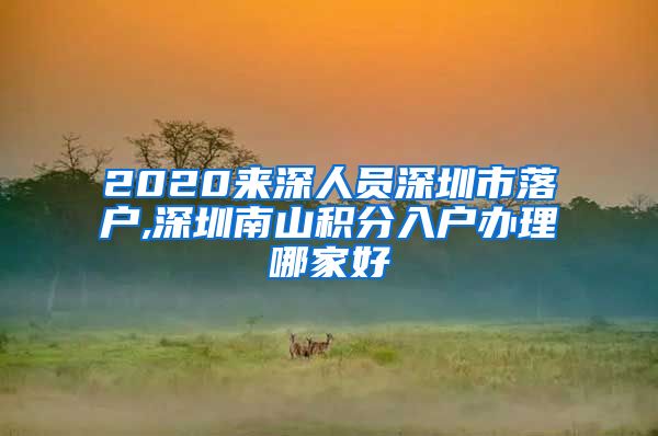 2020来深人员深圳市落户,深圳南山积分入户办理哪家好