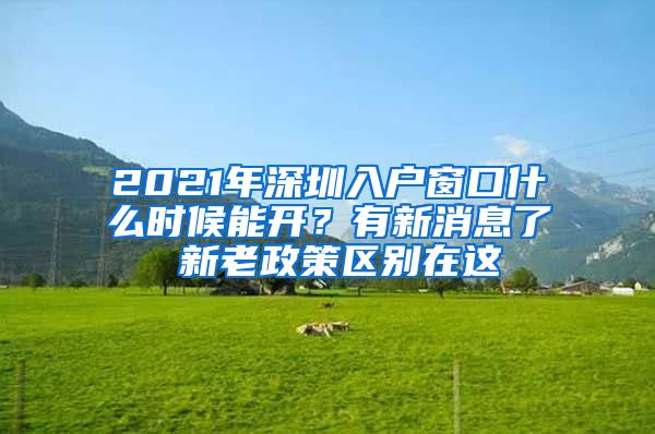 2021年深圳入户窗口什么时候能开？有新消息了 新老政策区别在这