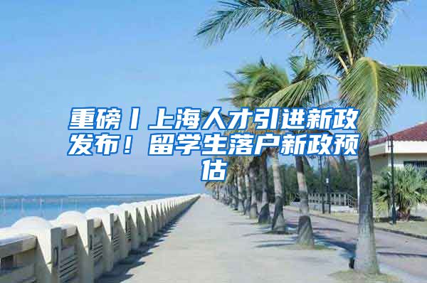 重磅丨上海人才引进新政发布！留学生落户新政预估