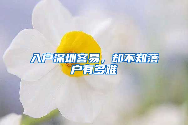 入户深圳容易，却不知落户有多难