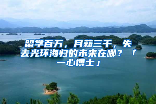 留学百万，月薪三千，失去光环海归的未来在哪？「一心博士」