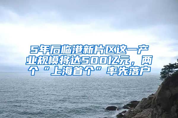 5年后临港新片区这一产业规模将达500亿元，两个“上海首个”率先落户