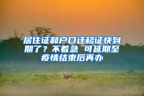 居住证和户口迁移证快到期了？不着急 可延期至疫情结束后再办