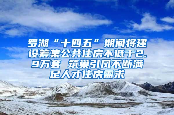 罗湖“十四五”期间将建设筹集公共住房不低于2.9万套 筑巢引凤不断满足人才住房需求