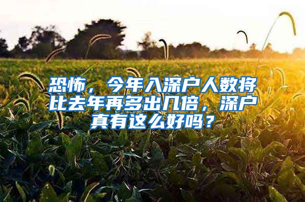 恐怖，今年入深户人数将比去年再多出几倍，深户真有这么好吗？