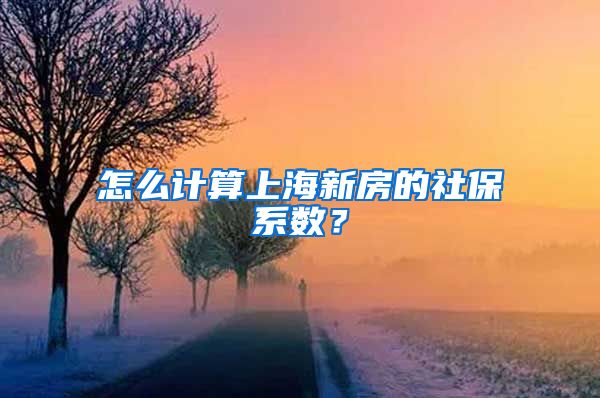 怎么计算上海新房的社保系数？