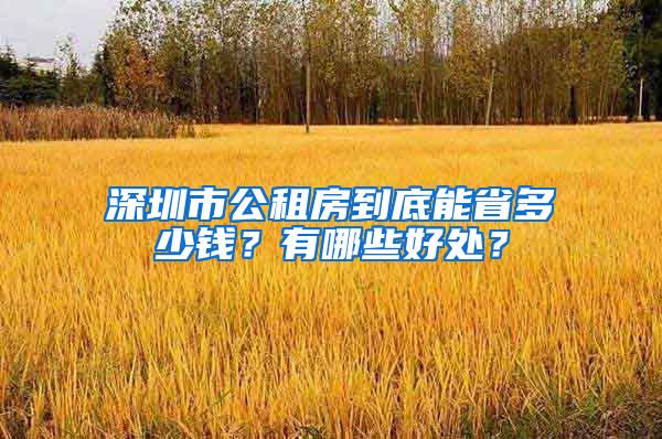 深圳市公租房到底能省多少钱？有哪些好处？