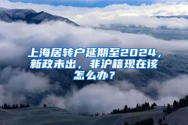 上海居转户延期至2024，新政未出，非沪籍现在该怎么办？