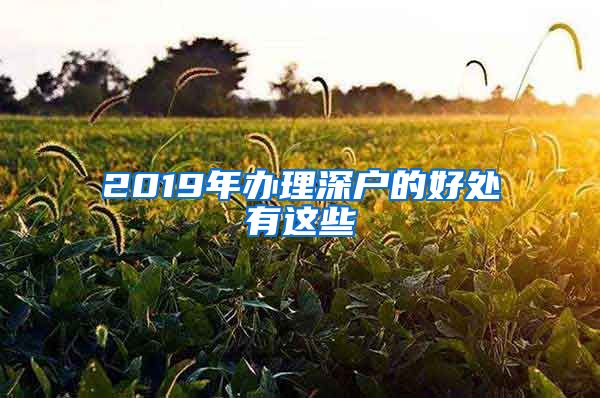 2019年办理深户的好处有这些