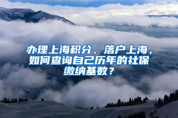 办理上海积分、落户上海，如何查询自己历年的社保缴纳基数？