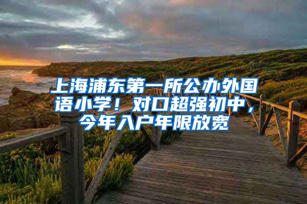 上海浦东第一所公办外国语小学！对口超强初中，今年入户年限放宽