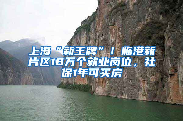 上海“新王牌”！临港新片区18万个就业岗位，社保1年可买房