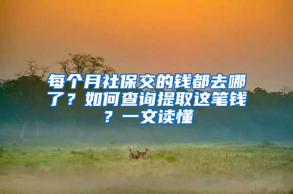 每个月社保交的钱都去哪了？如何查询提取这笔钱？一文读懂