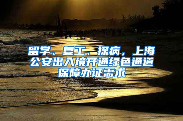 留学、复工、探病，上海公安出入境开通绿色通道保障办证需求