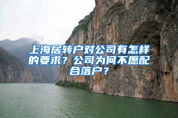 上海居转户对公司有怎样的要求？公司为何不愿配合落户？