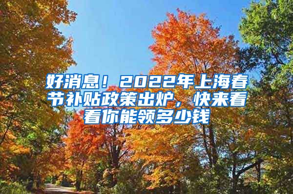 好消息！2022年上海春节补贴政策出炉，快来看看你能领多少钱