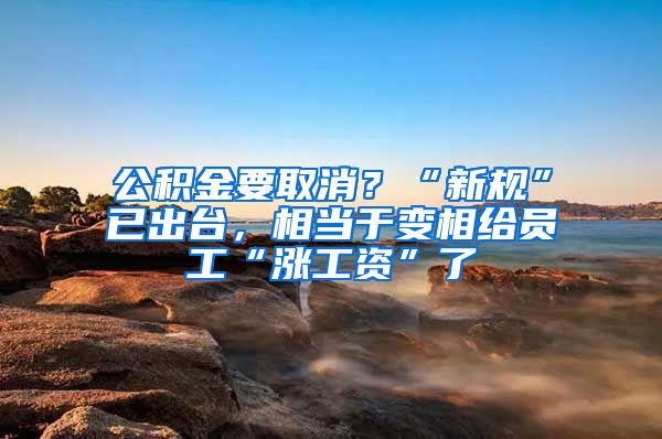 公积金要取消？“新规”已出台，相当于变相给员工“涨工资”了