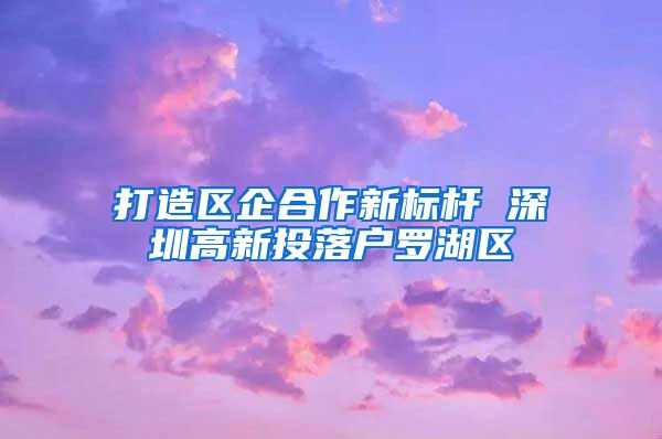 打造区企合作新标杆 深圳高新投落户罗湖区