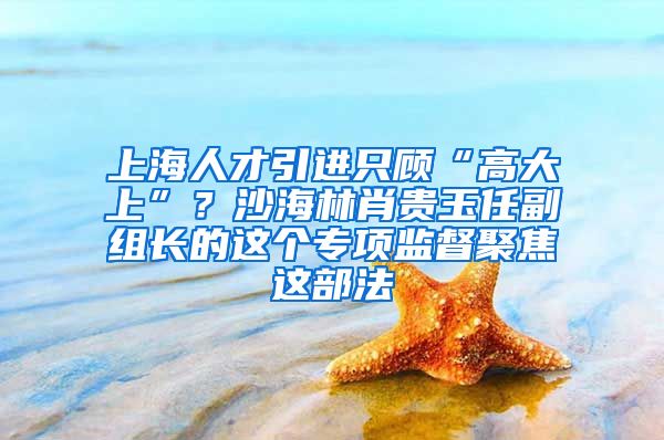 上海人才引进只顾“高大上”？沙海林肖贵玉任副组长的这个专项监督聚焦这部法