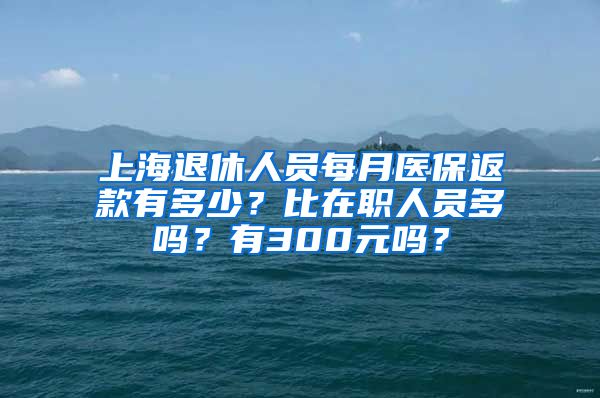 上海退休人员每月医保返款有多少？比在职人员多吗？有300元吗？