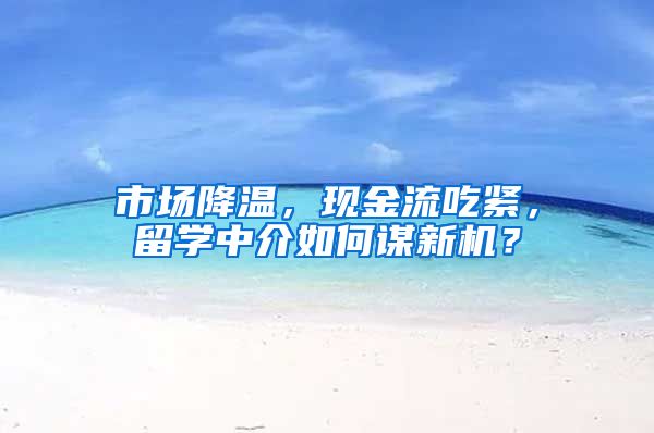 市场降温，现金流吃紧，留学中介如何谋新机？