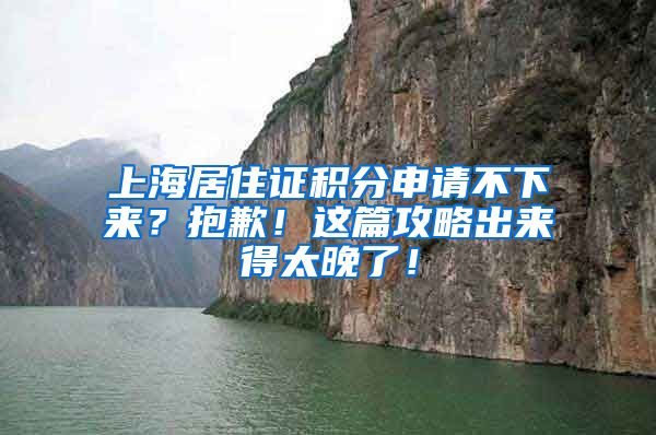 上海居住证积分申请不下来？抱歉！这篇攻略出来得太晚了！