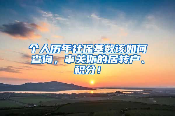 个人历年社保基数该如何查询，事关你的居转户、积分！