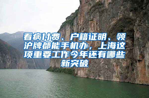 看病付费、户籍证明、领沪牌都能手机办，上海这项重要工作今年还有哪些新突破