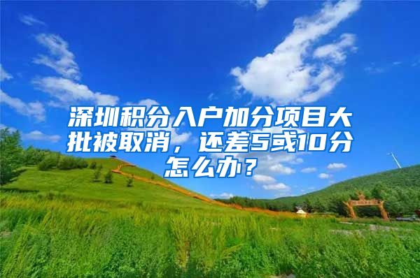 深圳积分入户加分项目大批被取消，还差5或10分怎么办？