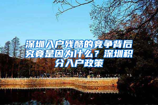 深圳入户残酷的竞争背后究竟是因为什么？深圳积分入户政策