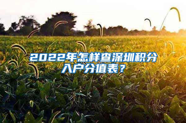 2022年怎样查深圳积分入户分值表？