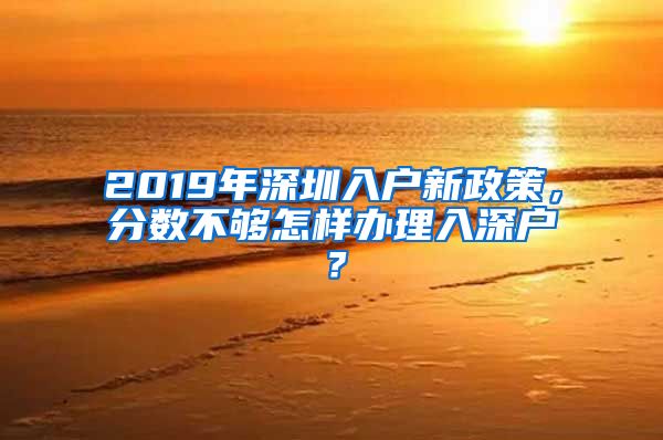 2019年深圳入户新政策，分数不够怎样办理入深户？