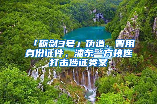 「砺剑3号」伪造、冒用身份证件，浦东警方接连打击涉证类案