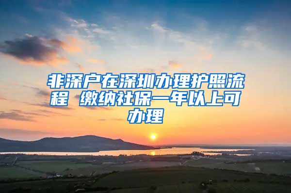 非深户在深圳办理护照流程 缴纳社保一年以上可办理