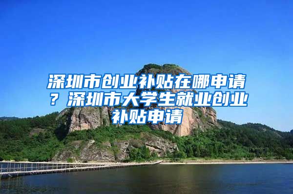 深圳市创业补贴在哪申请？深圳市大学生就业创业补贴申请