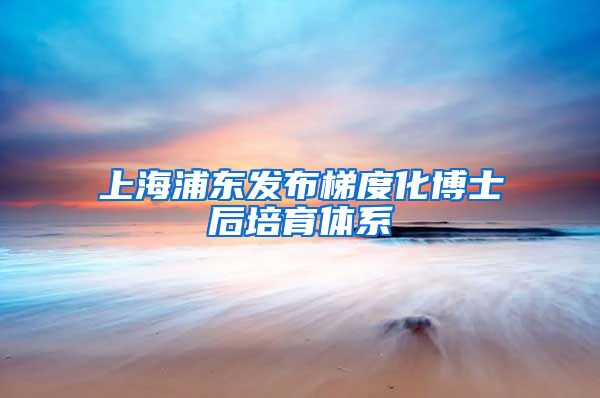 上海浦东发布梯度化博士后培育体系