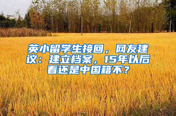 英小留学生接回，网友建议：建立档案，15年以后看还是中国籍不？