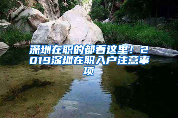 深圳在职的都看这里！2019深圳在职入户注意事项