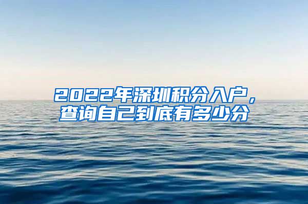 2022年深圳积分入户，查询自己到底有多少分