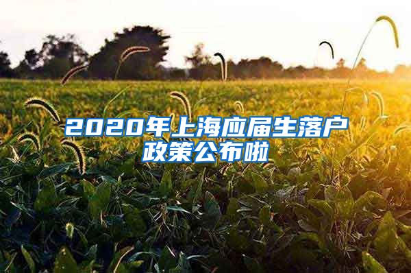 2020年上海应届生落户政策公布啦